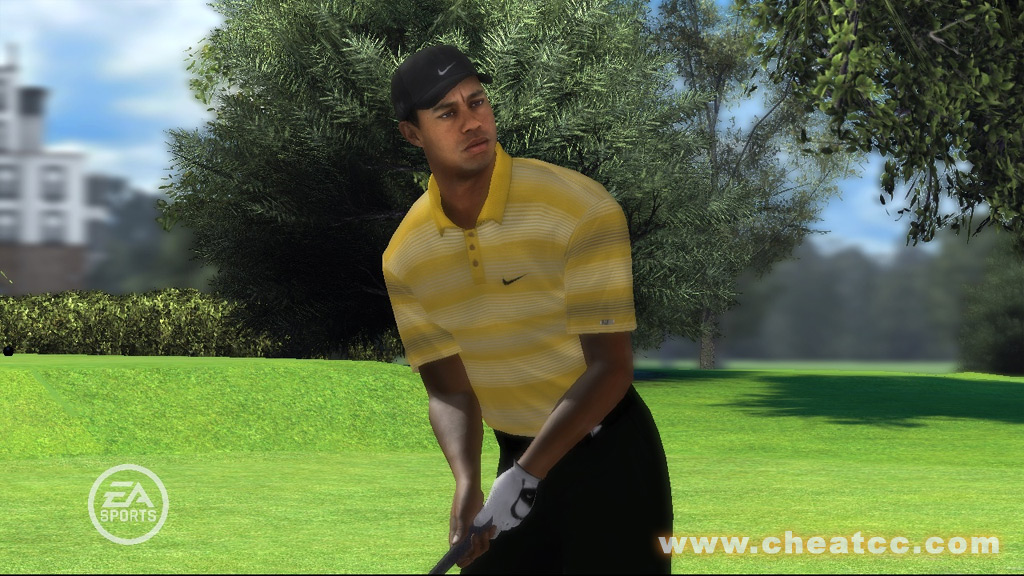 Tiger Woods PGA Tour 08 image