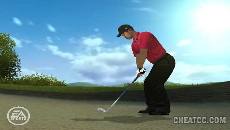 Tiger Woods PGA Tour 10 image