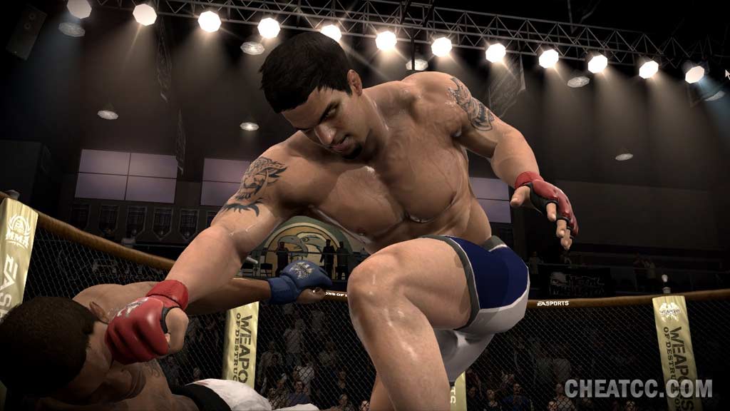 EA Sports MMA image