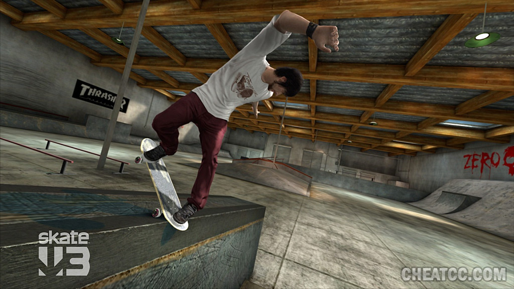 Skate 3 image