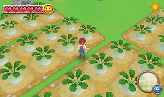 Harvest Moon: A New Beginning Screenshot