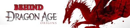 Dragon Age: Origins Interview