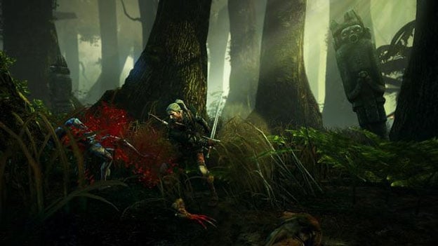 The Witcher 2: Assassins of Kings Screenshot
