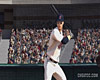 MLB 09: The Show screenshot - click to enlarge