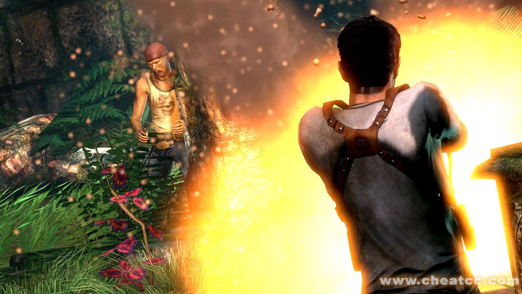 Uncharted: Drake's Fortune image