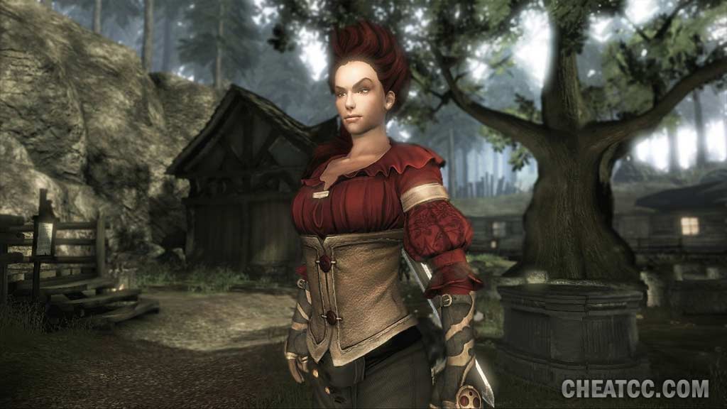 xbox 360 fable 3 cheat codes