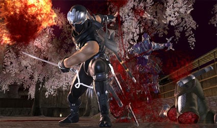 Ninja Gaiden 2 screenshot