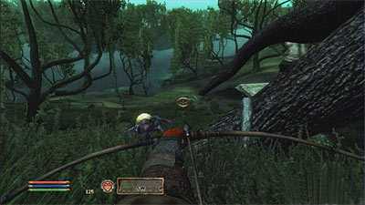 The Elder Scrolls: Shivering Isles screenshot