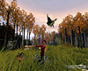 The Spiderwick Chronicles screenshot - click to enlarge