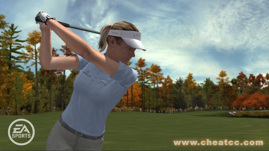 Download Tiger Woods 08 Widescreen Patch Free