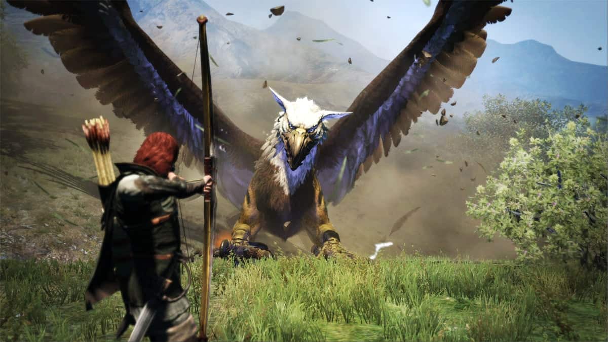 Dragon's Dogma Online to Step Out into the Field This Month