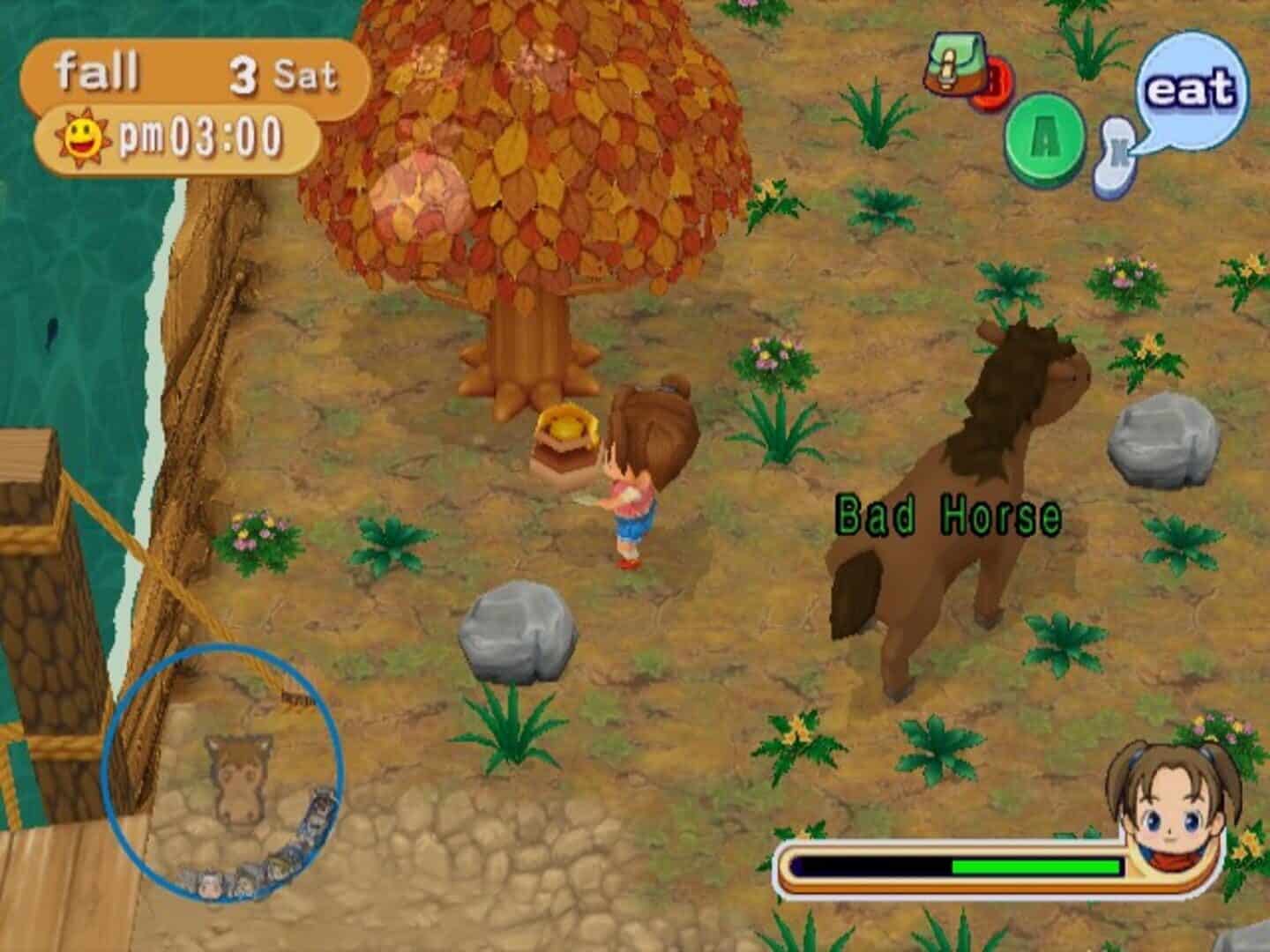 Harvest Moon Magical Melody Reviews Cheats Tips And Tricks Cheat