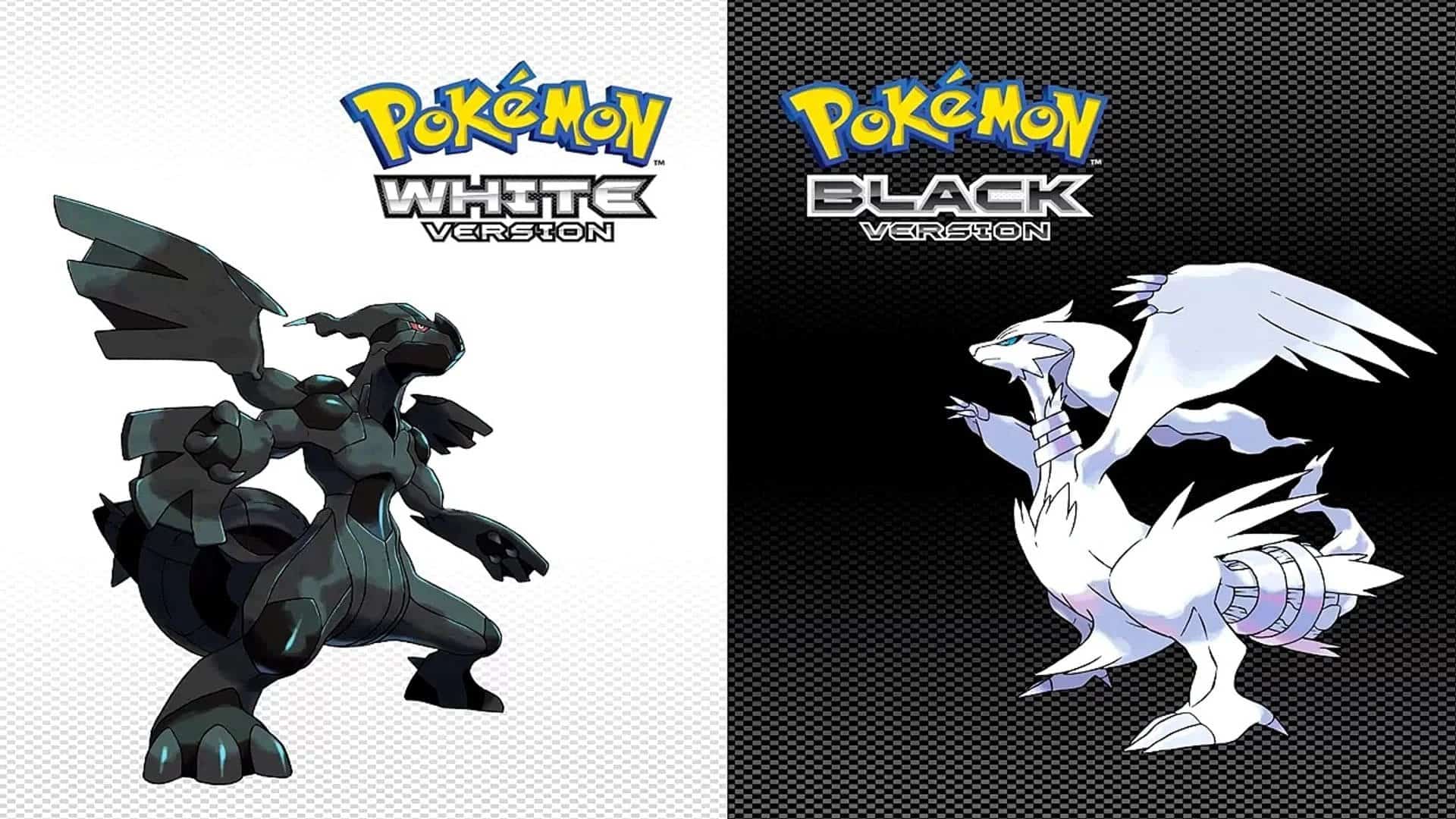 pokemon black and white wallpaper